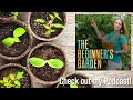 July Garden Tour: The Good, The Bad, and The Ugly