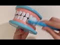 [💸Toy asmr💸] Dental care | Melissa and Doug Dentist kit 멜리사앤더그 치과 장난감 asmr