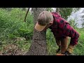 Daily Life at Our Off Grid Cabin in Remote Alaska: Building, Chainsaw, Firewood, Homemade Curtains