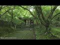 [4K] Moss Gardens in Kyoto 10 selections　苔の美しい京都の庭10選 瑠璃光院 桂春院
