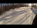 Stowe   Toll Road Trail   Fresh Powder