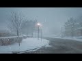 Breathe Easy in the Blizzard | Snowstorm White Noise for Relaxation