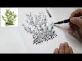 Quick Tips for Loose Plant Sketches | Pen & Ink