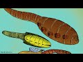 What Was The Tully Monster?