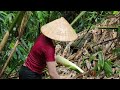 Ly thi hoa, Thu, hanh Mang, encountered heavy rain and wind, Duc helped and did the housework