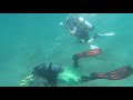 Snorkeling at the Blue Heron Bridge