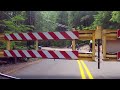 Downhill Cycling: Mountain Switchbacks in Nature 🚵‍♂️ 🏔️