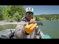 Spring Salmon Fishing With Cameron Black! (Bonus - How To Fillet A Salmon)