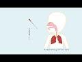 What is PCR and qPCR? | PCR Animation