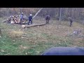 Amish horse logging