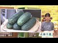 【５月２９日 能登半島地震まとめ】仲間由紀恵さん 輪島を慰問／飯田港修復作業完了も漁師の本音は ／被災者へ合同就職説明会／県観光大使に輪島出身の永井豪さん…など