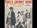 Tommy James and the Shondells - Sweet Cherry Wine