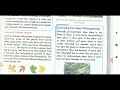 Nutrition in plants (class 7 ) IV