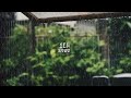 3 Hour Long | Piano Music & Rain Sounds | Audiovisual ASMR |