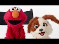 'Sesame Street' Muppets Answer More of the Web's Most Searched Questions | WIRED