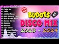 🇵🇭 [ NEW ] NONSTOP CHA CHA REMIX 2024🍦SELOS NEW VIRAL DISCO REMIX NONSTOP 2024