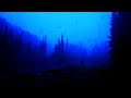 Relaxing Rain & Thunder Sounds in Deep Forest~Ultimate Sleep & Meditation Sounds~Ambient Sleep Sound