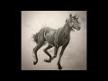 TIMELAPSE: Horse Sketch Practice - 10-12-2019