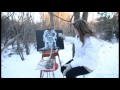 Winter Sketches - (Sheridan Media Arts Poem project)