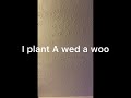 I plant A wed A woo