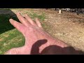 Zoysia Seed Project Video 12 - I'm adding some plugs to the back yard.