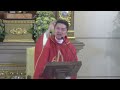 Martyrdom is the love language of the Brave - Homily of Rev Fr Daniel Voltaire Hui June 29, 2024 7AM