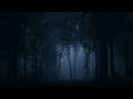 Relaxing Forest Rain & Thunder Sounds at Night for Sleep,Relax,Study~8 Hours of Relaxing White Noise