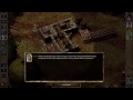 Viconia Relationship | Baldur's Gate 2