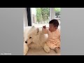 When Funny Dogs Make You Laugh All Day 🤣🐶 Funniest Animal Videos