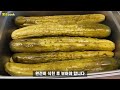 [오이지] 지금 만들어 놓으면1년이든든해요😋간장오이지.짜지 않게담가 맛있게 드세요