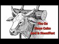 The WANTON CALF ~ Short Story Read Of Aesop’s Fables! (Extended Version) #animalfables #story #usa