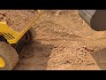 Excavator Push Dump Truck