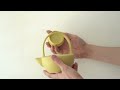물레로 만드는 도자기 주전자 : How make a ceramic Teapot [ONDO STUDIO]