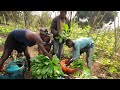 Thu hoạch rau bán tại trang trại và giúp tám bán củ cải  || Tony Phong cuộc sống Châu Phi