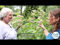 🌸 The Ever-Changing Garden 🌼 Talk & Tour with Joyce Householder