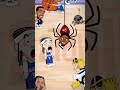 NBA Playoffs 2024 - All Round 1 Elimination Animations