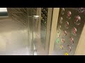 Blk 262 Waterloo Street, Singapore - iFE Lift (New Lift A) [Ft. @weireanfilmslifts2401]