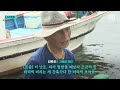 고성서 500마리 잡혔다…'명태 살리기 사업' 10년 만에 처음 / SBS / #D리포트