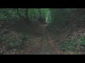 Mysterious Virtual Forest Walk | France