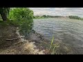 Nature on the shore of the lake. Waves on the lake. Wind on the lake. Beautiful natural place.