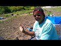 The squash are all transplanted at the allotment beds, what will we do with the harvests?Zone 5B