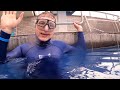 How to Become a Master Freediver | Wave 3 with Maria Zosa