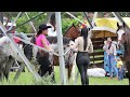 Beautiful Women and Horses Cabalgata Las Vuelta de Guacima