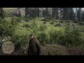 Red Dead Redemption 2_20181203010634