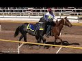 Carreras De Caballos | Carril San Isidro | 05 de Mayo 2024