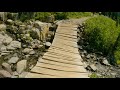 Incredible Wildflowers of Mount Rainier - 4K Virtual Hike - Reflection Lakes Trail on a Sunny Day