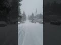 Seattle snow storm #3  (unedited)