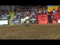 Wilfong Bucking Bulls BW 124