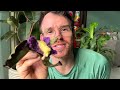 Trying Ube in the Philippines | The World's Most Colorful Root Veg