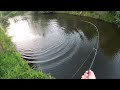 NZ Urban Fishing (BIG Grass CARPS)